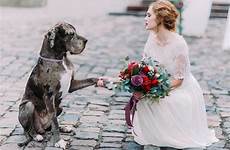dog wedding including ceremony include incorporating give inspiration