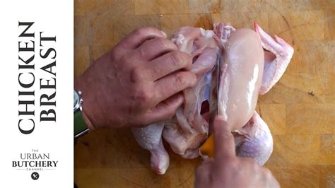 Mind blown!i looked for the original video i saw and couldn't find it, but if you search chicken tendon. How to remove a Chicken breast - Chicken Kiev (part 1 ...