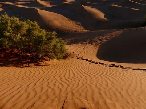 Veja quem é obrigado a declarar. Randonnee Trek Maroc (Azilal) - 2021 Qué saber antes de ir ...