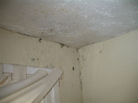 Damp patch on bedroom ceiling. damp patch on max's ceiling and mould | Fliss | Flickr