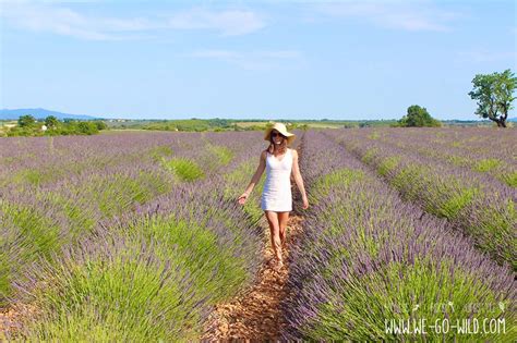 Maybe you would like to learn more about one of these? Welches Kleid passt zu meiner Figur? - WE GO WILD