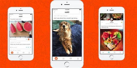 Want to download images in bulk to use? Reddit Finally Unveils A Mobile App For Android And iOS - AskMen