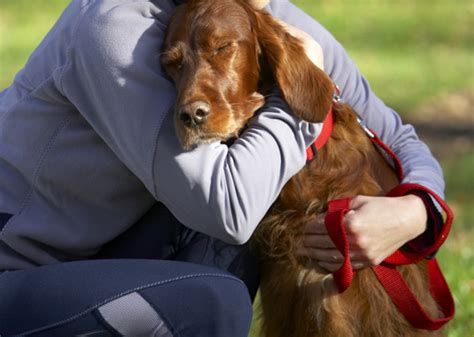 We did not find results for: 6 Signs Your Dog Loves You