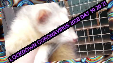 When does lockdown end in england? lockdown coronavirus 2020 day 19 20 21 - YouTube