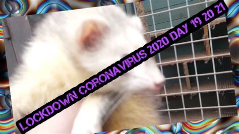 Tap a state for more detail. lockdown coronavirus 2020 day 19 20 21 - YouTube