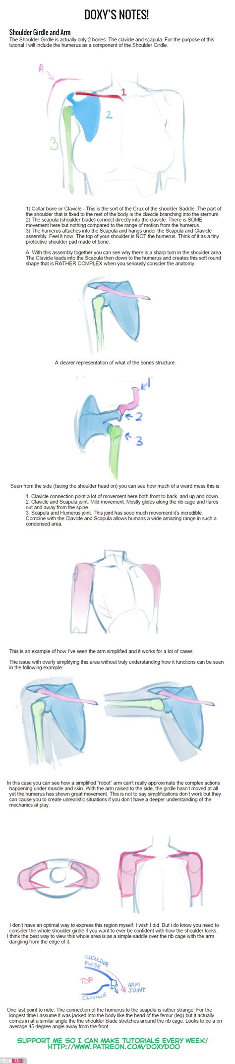 Using doxy.me has enabled me to grow my private practice and offer therapeutic services to the technology is excellent and very user friendly. Shoulder Girdle Toot by mldoxy on DeviantArt