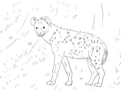 Color online with this game to color animals coloring pages and you will be able to share and to create your own gallery online. African Spotted Hyena coloring page | Super Coloring | Zoo ...