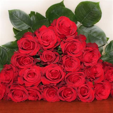 Replacing subaru's ez30d, the ez30r engine was first introduced in the subaru bp outback 3.0r in 2003 and subsequently offered in the subaru bl/bp liberty 3.0r and subaru tribeca. Finally Red Roses 100 Stems | J R Roses Wholesale Flowers