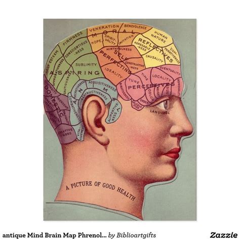 It is located in the head, usually close to the sensory organs for senses such as vision. antique Mind Brain Map Phrenology head Postcard | Zazzle ...