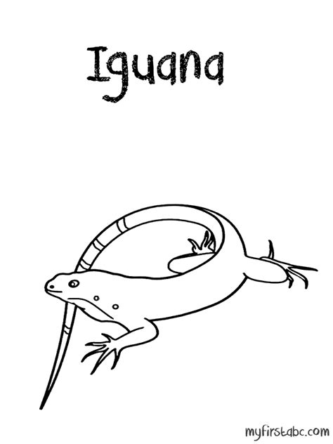 Select from 35919 printable coloring pages of cartoons, animals, nature, bible and many more. Iguana Coloring Page - Coloring Home