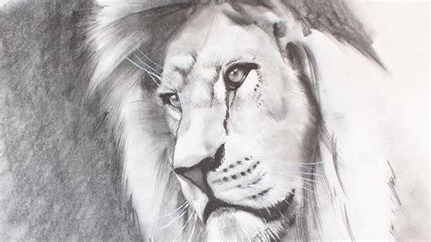 Learn how to draw a landscape! How to Draw a Realistic Lion - YouTube