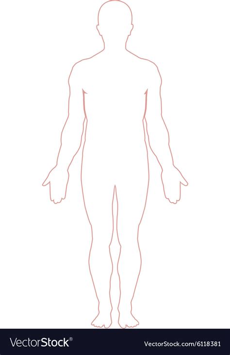 Pain points on male and female body vector. Man body outline Royalty Free Vector Image - VectorStock