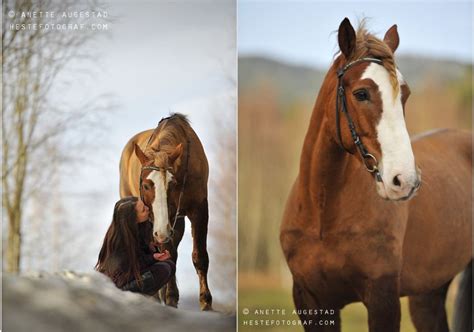 Human ponies & riding mistresses. A Pony And His Girl | Horse rider, Horse and human, Pony
