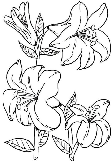 Sie finden sie bei ebay neu oder gebraucht in einem großen sortiment. blumen malvorlage - Ausmalbilder für kinder … | Coloring | Pinterest | Flower colors