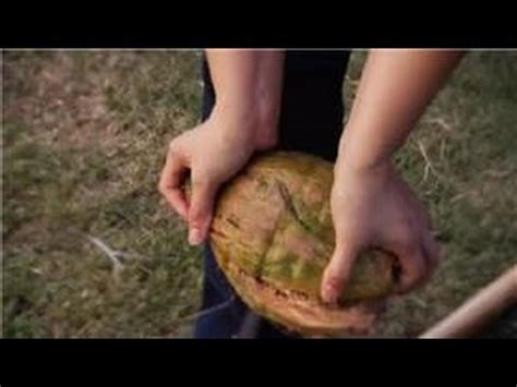 Or maybe it is a torto. Deliciously Coconut : How to Remove the Green Shell From a ...