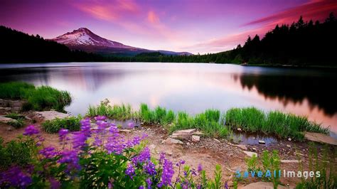 Browse more than 1259 beautiful wallpapers and backgrounds. 45 HD Beautiful Wallpapers/Backgrounds For Free Download