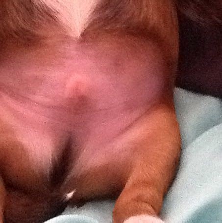 Viele werdende eltern fragen sich, ab wann man das geschlecht sieht. 17 Top Images Wann Sieht Man Ob Junge Oder Mädchen ...