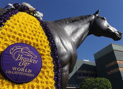 The adventures of cup face. Breeders' Cup Unveils Branded Face Masks for COVID-19 Relief