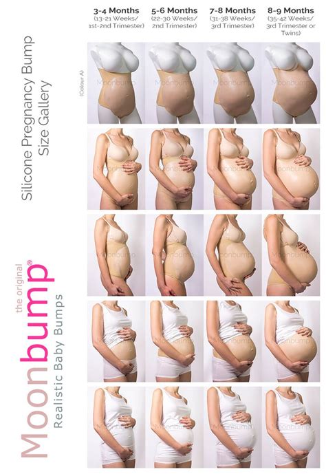 This month marks the growth spurts in 9 months pregnant 2nd baby bump after tummy tuck | 40 weeks pregnancy belly #tummytuck. Moonbump Silicone Pregnant Belly Size Gallery: 3-4, 5-6, 7 ...