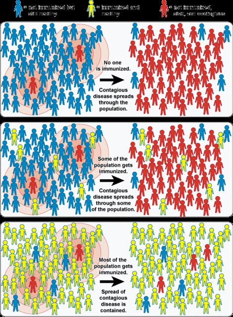 A study conducted in the 1990s demonstrated that vaccination of schoolchildren. Community Immunity ("Herd" Immunity) | When a critical ...