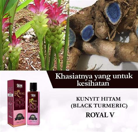 Check out the best deals on jamu ratu malaya in malaysia | read reviews, compare prices, and find the best price on jamu ratu malaya products. ROYAL V JAMU RATU MALAYA (end 11/7/2018 4:15 PM)