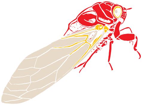 Insect cicadidae wing cicadas, onion skin material, wings, moth png. Cicada Bug Clip Art at Clker.com - vector clip art online ...