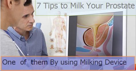 Prostate milking is a massage that can gently manipulate the health benefits of the prostate. Prostate Massage Technique - How to Massage Male Hot Zone ...