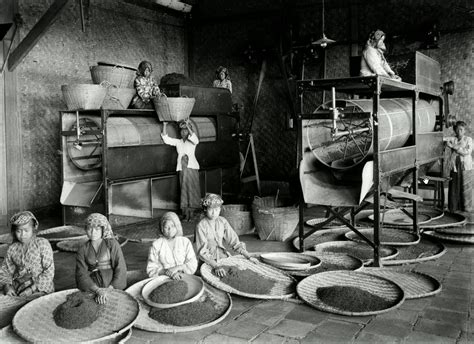 Ngoro industri park nip | kawasan industri mojokerto. Indonesia Zaman Doeloe: Pekerja pabrik teh di awal abad ke-20