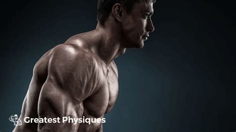 Check spelling or type a new query. Best Pectoral Muscles Exercises for a Bigger Chest ...