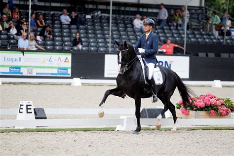 Bryan brunati / the us sun: Jury maakt er bij zesjarigen een potje van - Horses.nl