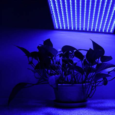 Diy led light kits & parts. 225 LED Grow Light Full Spectrum 14W LED Panel Grow Lamp ...