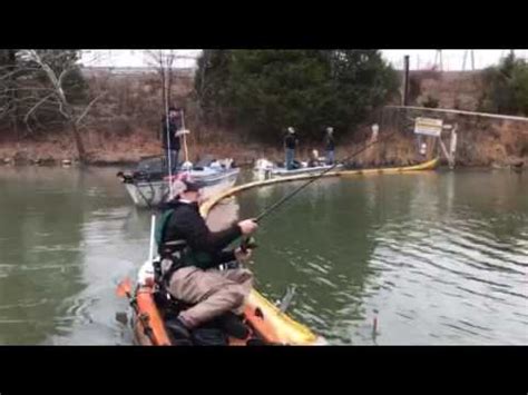 Anglers say that the bass bite is slow. Striper Fishing Old Hickory - YouTube