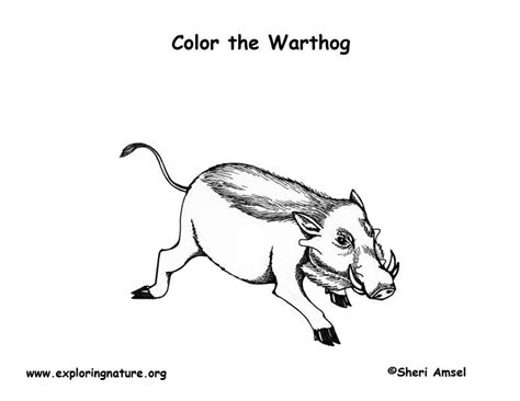 Celebrating 23 years of hobby news and reviews. Warthog Coloring Page