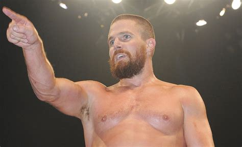 Stephen amell took on stardust at wwe summerslam. Arrow's Stephen Amell Looks Like a Real-Life Superhero in the Wrestling Ring! | Shirtless ...