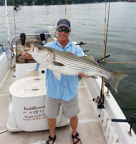 A fishing license is required and most of the fishing stores and marinas sell them. Striper Fishing Guide Service on Smith Mountain Lake, VA ...