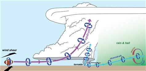 We did not find results for: How tornadoes form - Markowski Research Group