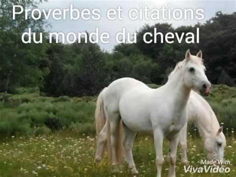 Nous vous invitons à essayer la plateforme chance qui vous propose un parcours 100% en ligne pour choisir le travail qui vous rendra heureux(se) avec un essai gratuit. Proverbes et citations en rapport avec les chevaux - YouTube