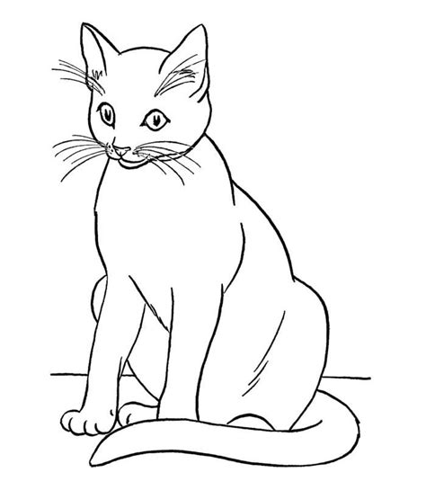 By best coloring pagesaugust 10th 2013. 70+ Animal Colouring Pages Free Download & Print! | Cat ...