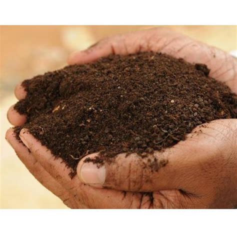 I'm a big fan of organic liquid fertilizer. Phosphate Rich Organic Manure Fertilizer, Pack Size: 50 Kg ...