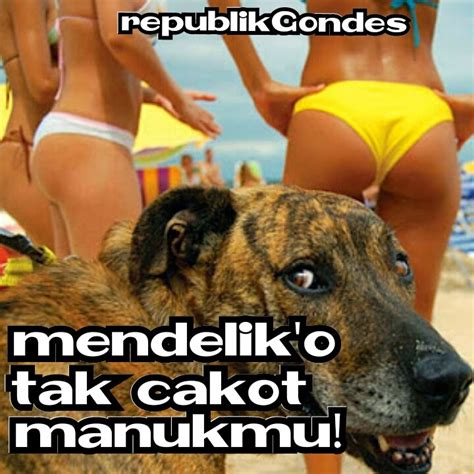 Artikel berisi gambar lucu bahasa jawa jorok yang diambil dari beberapa konten. DP BBM Meme Dewasa Lucu 17+ | Cewek Facebook Bugil