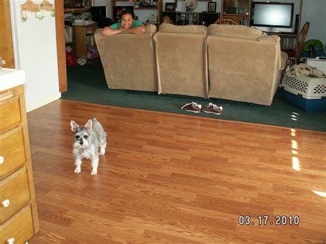 Hier findest du die besten zitate und sprüche zum thema drogen: The Anderson's POL (Pad of Love): New Kitchen Floor!