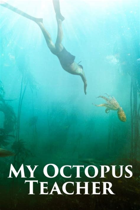 I had been outdoor dining with friends in a garden. My Octopus Teacher YIFY subtitles