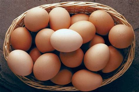 Makna di balik telur paskah yang perlu kamu ketahui okezone lifestyle. Pemerintah Gunakan Telur HE untuk BPNT, Peternak Blitar ...