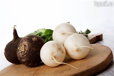 Чем так полезна редька и в какие блюда ее добавлять - 7Дней.ру Картинка - Чем так полезна редька и в какие блюда ее добавлять - 7Дней.ру