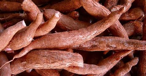 Satu lagi tips berguna untuk anda buat resepi talam ubi kayu ini adalah, lapik bekas acuan dengan plastik tahan panas. Makanan Tradisi Ubi Kayu |MyRokan