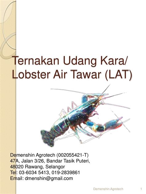 From professional translators, enterprises, web pages and freely available translation repositories. Cara ternak Udang kara lobster air tawar LAT di 017-2839861.