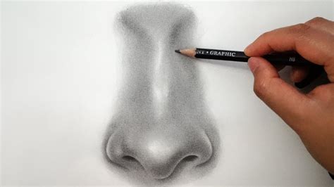 Draw these lightly as you want them to disappear under your shading at a. How to Draw a Nose - EASY - YouTube