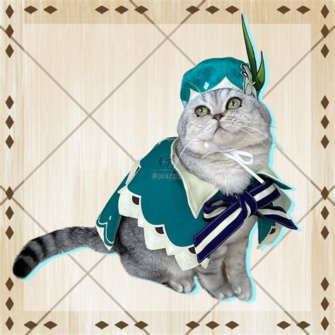 #genshin impact #venti #venti cosplay #genshin impact cosplay #crossplay #hanari cosplays. Buy Game Genshin Impact Venti Cat Cloak Cosplay Costume ...