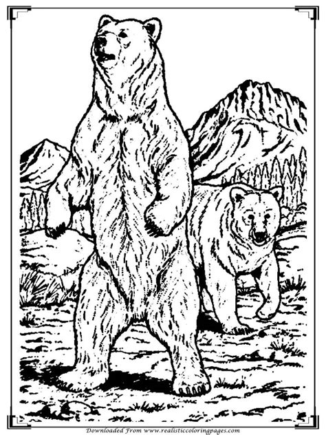 Here is my collection of bear coloring pages: Realistic Bear Coloring Pages at GetDrawings.com | Free ...