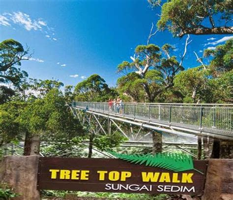 Tree top walk sedim kedah. Hutan Lipur Sungai Sedim 'Tree Top Walk' - MMFC News Portal